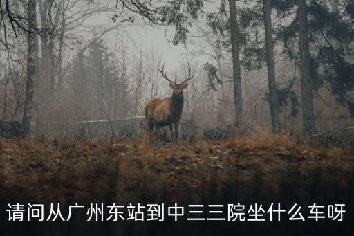請問從廣州東站到中三三院坐什么車呀