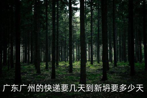 廣東廣州的快遞要幾天到新坍要多少天