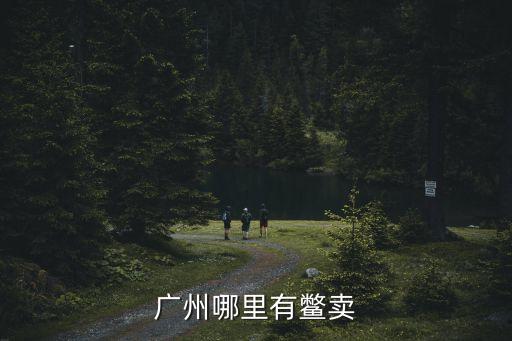 廣州珠江哪里甲魚多，廣州哪里有鱉賣