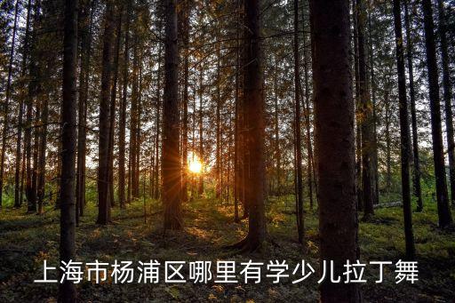 上海市楊浦區哪里有學少兒拉丁舞