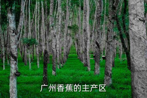 廣州哪里種植香蕉最多，廣州香蕉的主產區
