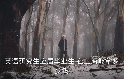 英語研究生應屆畢業生 在上海能拿多少錢
