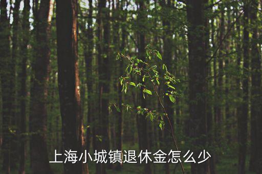 上海市小城鎮(zhèn)退休，上海小城鎮(zhèn)退休金怎么少