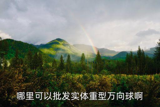 廣州萬向珠制造，廣州哪有木珠加工