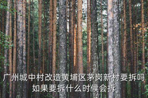 廣州城中村改造黃埔區茅崗新村要拆嗎如果要拆什么時候會拆