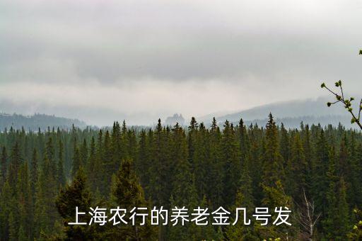 上海農行的養老金幾號發