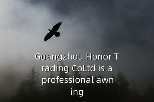 Guangzhou Honor Trading CoLtd is a professional awning