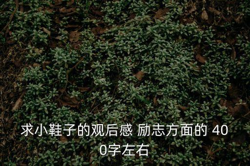 小鞋子觀后感，求小鞋子的觀后感 勵志方面的 400字左右