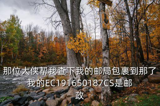 廣州南充高坪陽光中心城二期道路，高坪在那里