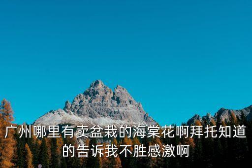 廣州哪里有賣(mài)盆栽的海棠花啊拜托知道的告訴我不勝感激啊