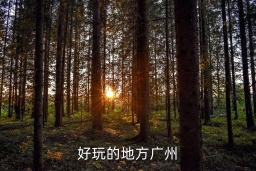 廣州能參觀的騎樓，上下九有什么好玩好吃的