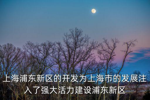 上海浦東新區的開發為上海市的發展注入了強大活力建設浦東新區