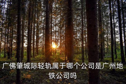 廣佛肇城際輕軌屬于哪個公司是廣州地鐵公司嗎