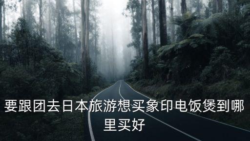要跟團去日本旅游想買象印電飯煲到哪里買好