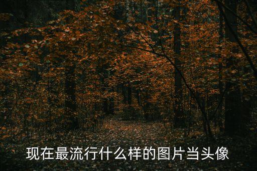 最火微信頭像，現(xiàn)在最流行什么樣的圖片當頭像