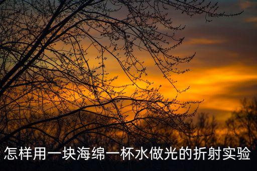 光的折射小實驗，急求光的折射實驗報告