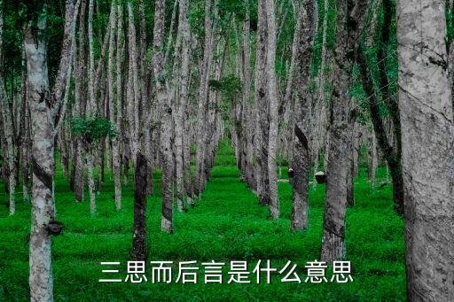 三思而后言，三思而后言意思