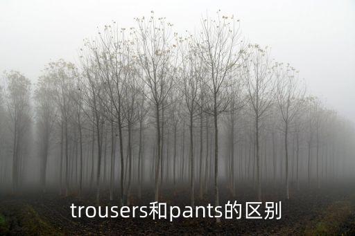 trousers和pants的區別