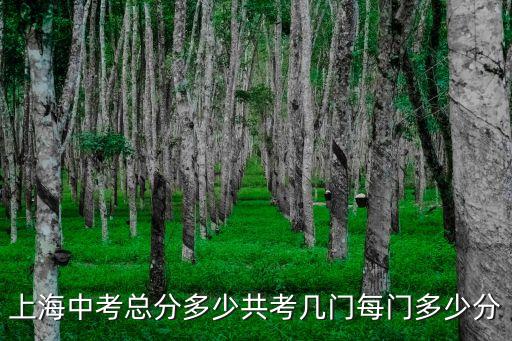 上海市中考數學分值分布，現在上海市中考各科每門成績滿分是幾分