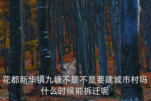 花都新華鎮九塘不是不是要建城市村嗎什么時候能拆遷呢