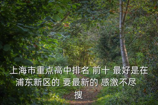 上海市求真中學(xué)重點(diǎn)中學(xué)排名，上海市重點(diǎn)高中排名 前十 最好是在浦東新區(qū)的 要最新的 感激不盡  搜