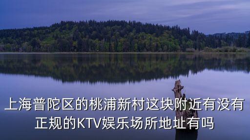 上海市桃浦附近哪有舞廳，上海哪有迪吧