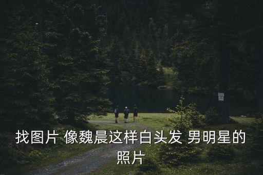找圖片 像魏晨這樣白頭發 男明星的照片