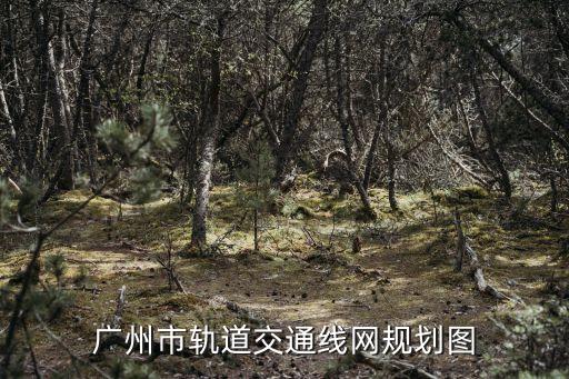 廣州到東平地鐵規(guī)劃，廣州市軌道交通線網(wǎng)規(guī)劃圖
