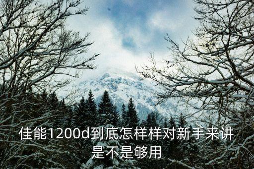 佳能1200d到底怎樣樣對新手來講是不是夠用