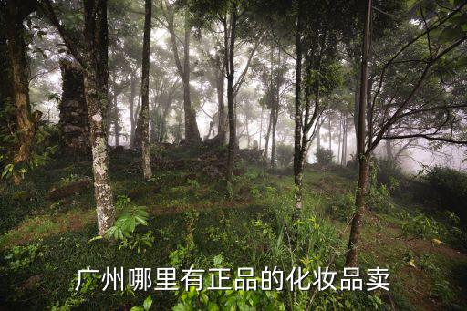 廣州哪里能買到正品護(hù)膚品，廣州正品化妝品哪里買