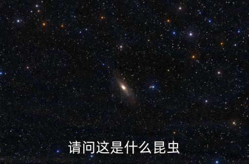 大田鱉，大田蟞的用途及有何價值