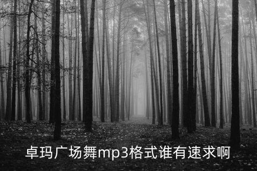 卓瑪廣場舞mp3格式誰有速求啊