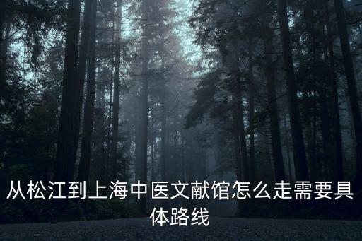 上海市中醫藥文獻館，上海市中醫文獻館怎么樣