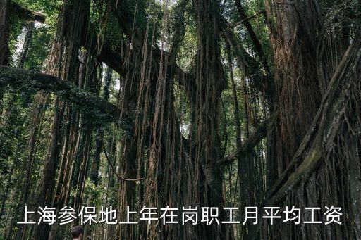 上海參保地上年在崗職工月平均工資
