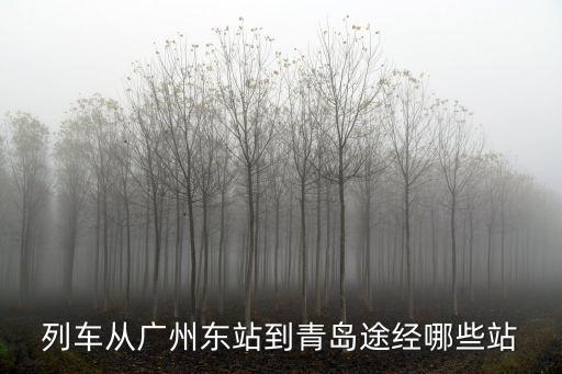 列車從廣州東站到青島途經哪些站