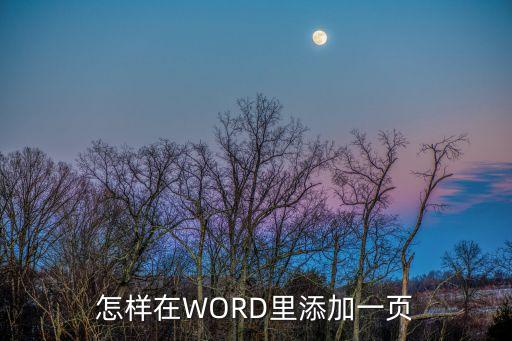 word文檔怎么加一頁，怎樣在WORD里添加一頁
