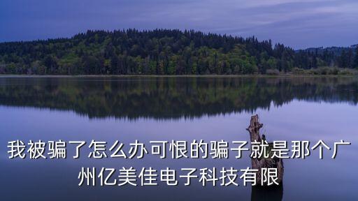 我被騙了怎么辦可恨的騙子就是那個廣州億美佳電子科技有限
