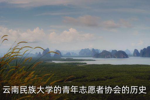 云南民族大學的青年志愿者協會的歷史