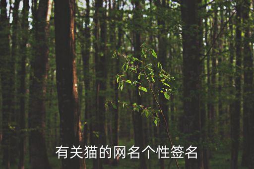 有關貓的網名個性簽名