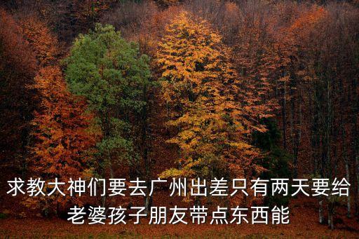 求教大神們要去廣州出差只有兩天要給老婆孩子朋友帶點東西能