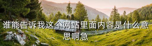 誰能告訴我這個網站里面內容是什么意思啊急