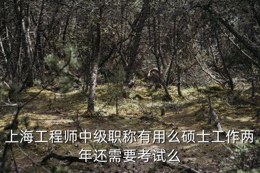 上海市儀表中級工程師，上海工程師中級職稱有用么碩士工作兩年還需要考試么