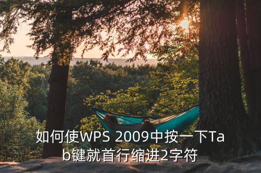 如何使WPS 2009中按一下Tab鍵就首行縮進2字符