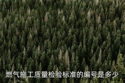 燃氣施工質量檢驗標準的編號是多少