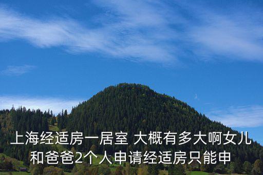 上海經適房一居室 大概有多大啊女兒和爸爸2個人申請經適房只能申