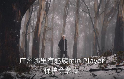 廣州市魅影套裝，魅影套裝現(xiàn)在還可以得嗎