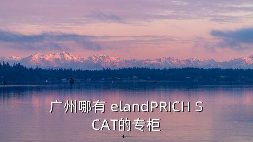廣州敏捷朗悅，廣州花都哪里有賣敏斯朗