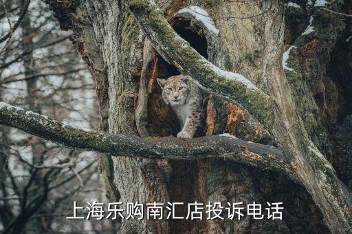 上海市預付式消費投訴，請問上海市消費者權投訴電話是多少啊