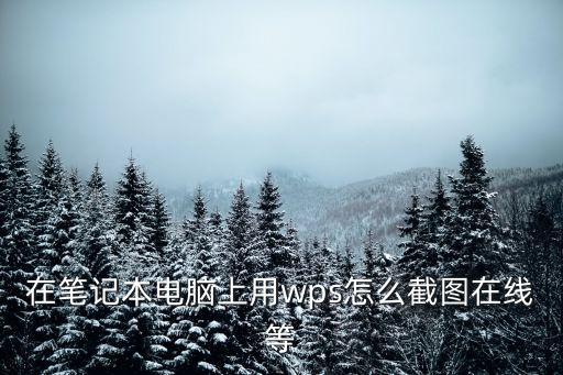 在筆記本電腦上用wps怎么截圖在線等
