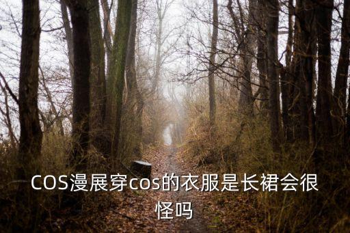 廣州漫展女孩裙子，COS漫展穿cos的衣服是長(zhǎng)裙會(huì)很怪嗎